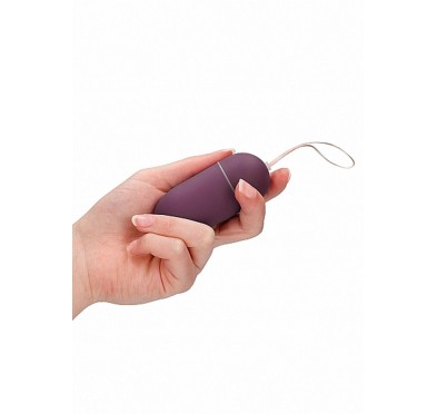 10 Speed Remote Vibrating Egg - Big - Purple